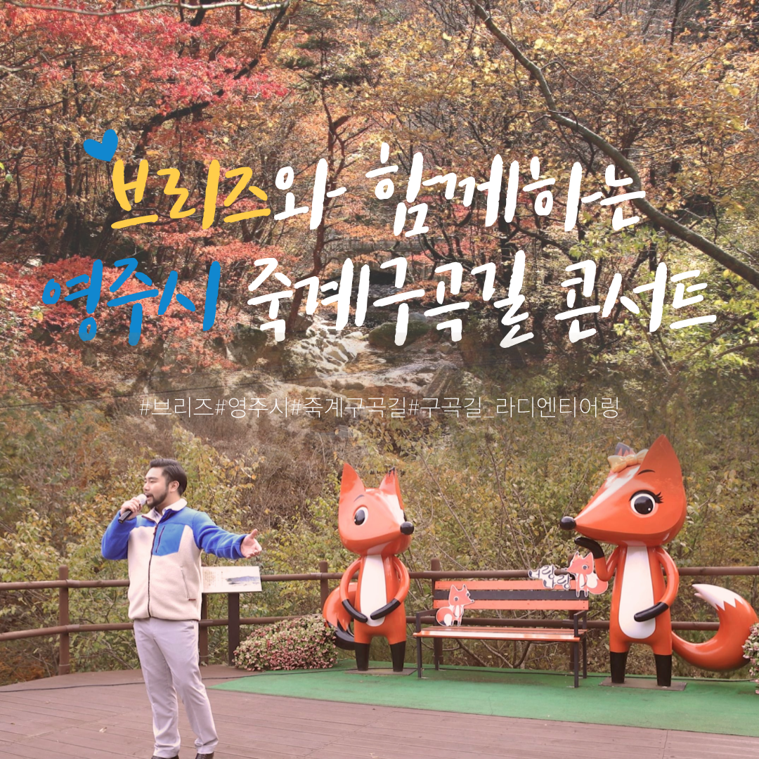 영주시 죽계구곡길 콘서트